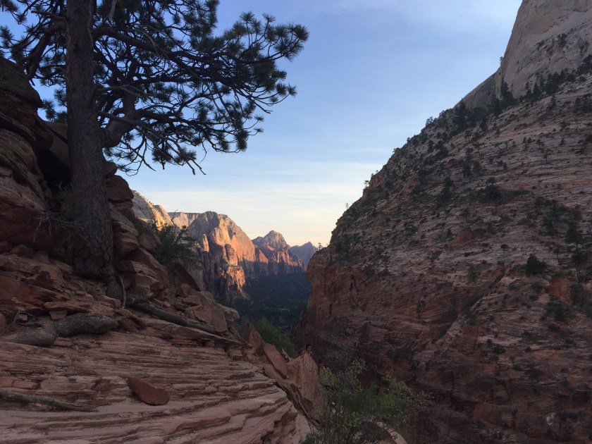 2015-09-08 18.50.22.jpg